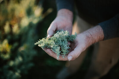 Berven Photo Helgaker Gård rom 220