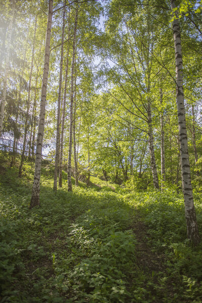 Helgaker vår 12